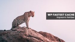 WP Fastest Cache Eklenti Kurulumu ve Ayarları