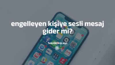 engelleyen kişiye sesli mesaj gider mi engelleyen kişiye sesli mesaj gider mi
