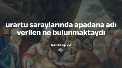 urartu saraylarında apadana adı verilen ne bulunmaktaydı urartu saraylarında apadana adı verilen ne bulunmaktaydı